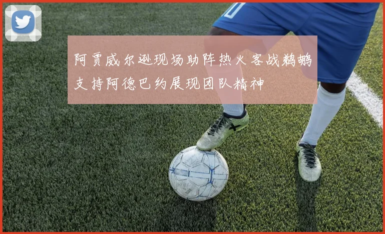 阿贾威尔逊现场助阵热火客战鹈鹕支持阿德巴约展现团队精神