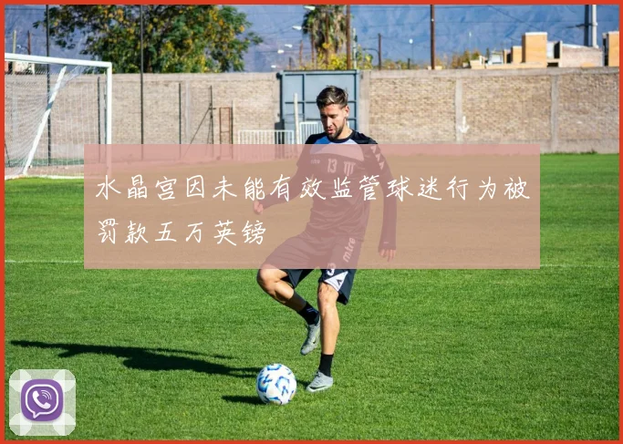 水晶宫因未能有效监管球迷行为被罚款五万英镑
