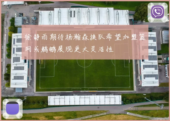 徐静雨期待杨瀚森换队希望加盟篮网或鹈鹕展现更大灵活性