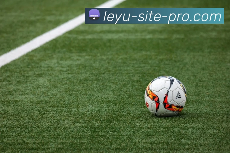 乐鱼体育APP 封面图